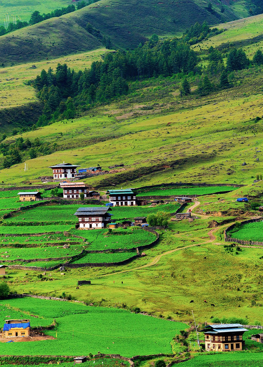 不丹氣候與天氣:不丹最佳旅遊時間